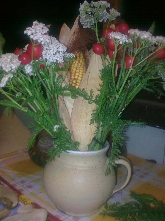 Chata Friday Ktová Екстериор снимка